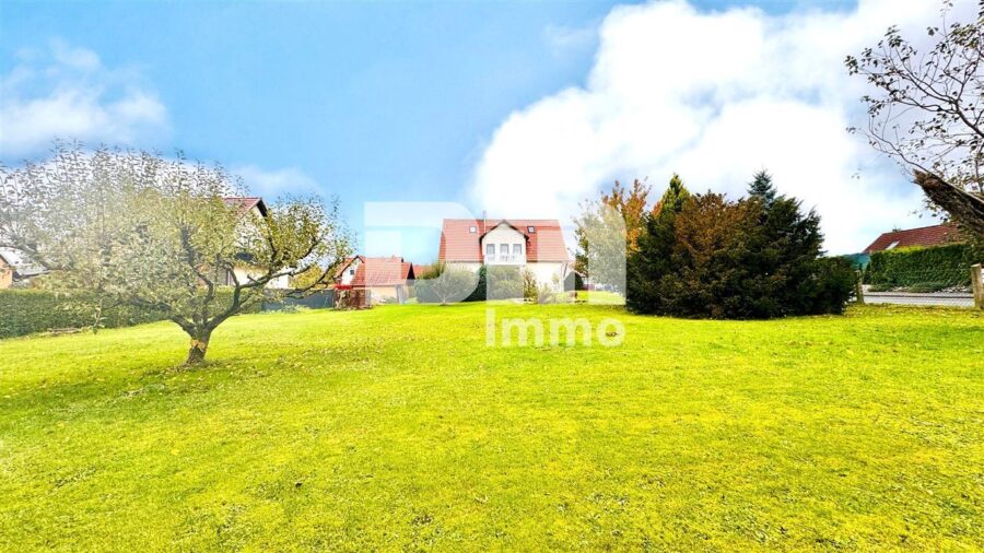 Modernisiertes Ein- bis Zweifamilienhaus mit Anbau BJ 1992 + 2. Baugrundstück - Großes Grundstück / Bauland